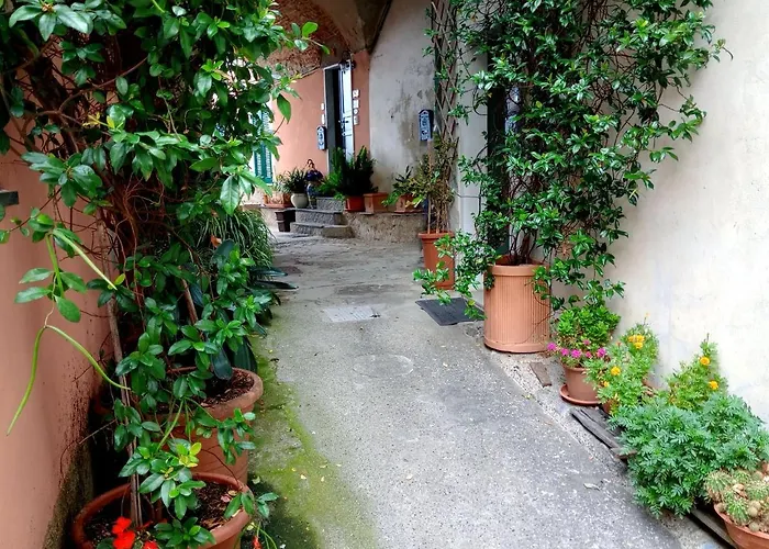 Il Nido Delle Rondini